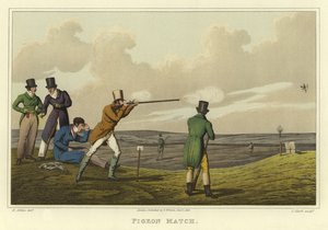 Pigeon Match (chromolitho)